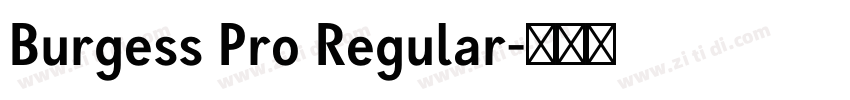 Burgess Pro Regular字体转换